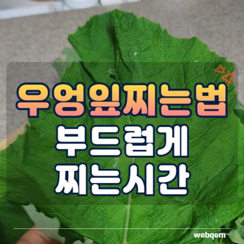 우엉잎찌는법 대표 이미지