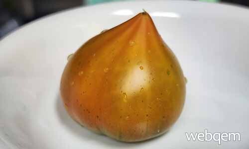 짭짜리토마토 가장 맛있는 방사형 모양
