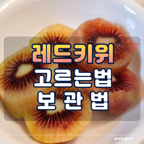레드키위 고르는법, 보관버버 대표 이미지