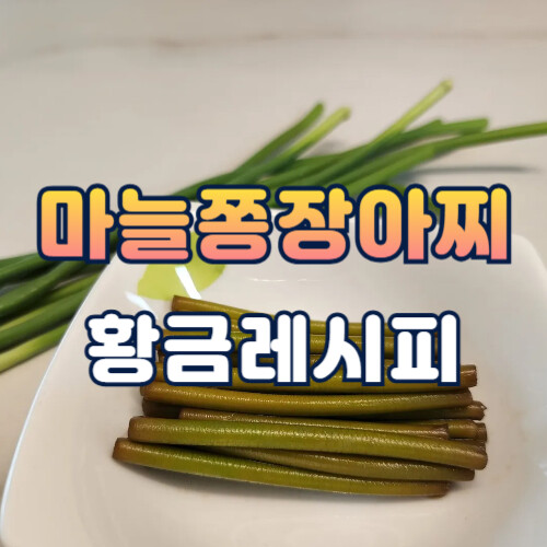 마늘쫑장아찌 황금레시피 대표이미지