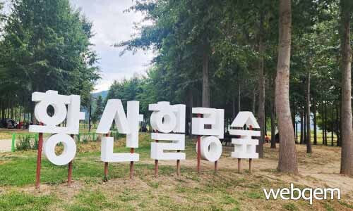 황산힐링숲