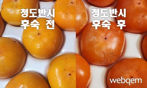 청도반시 후숙전, 후숙후 비교