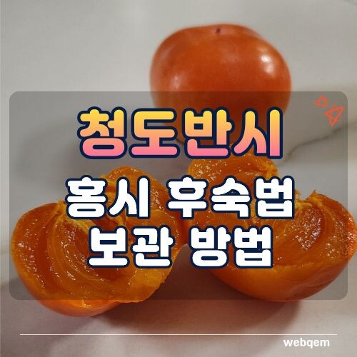 청도반시 후숙, 보관법