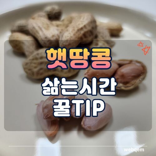 햇땅콩 부드럽게 삶는시간 꿀팁